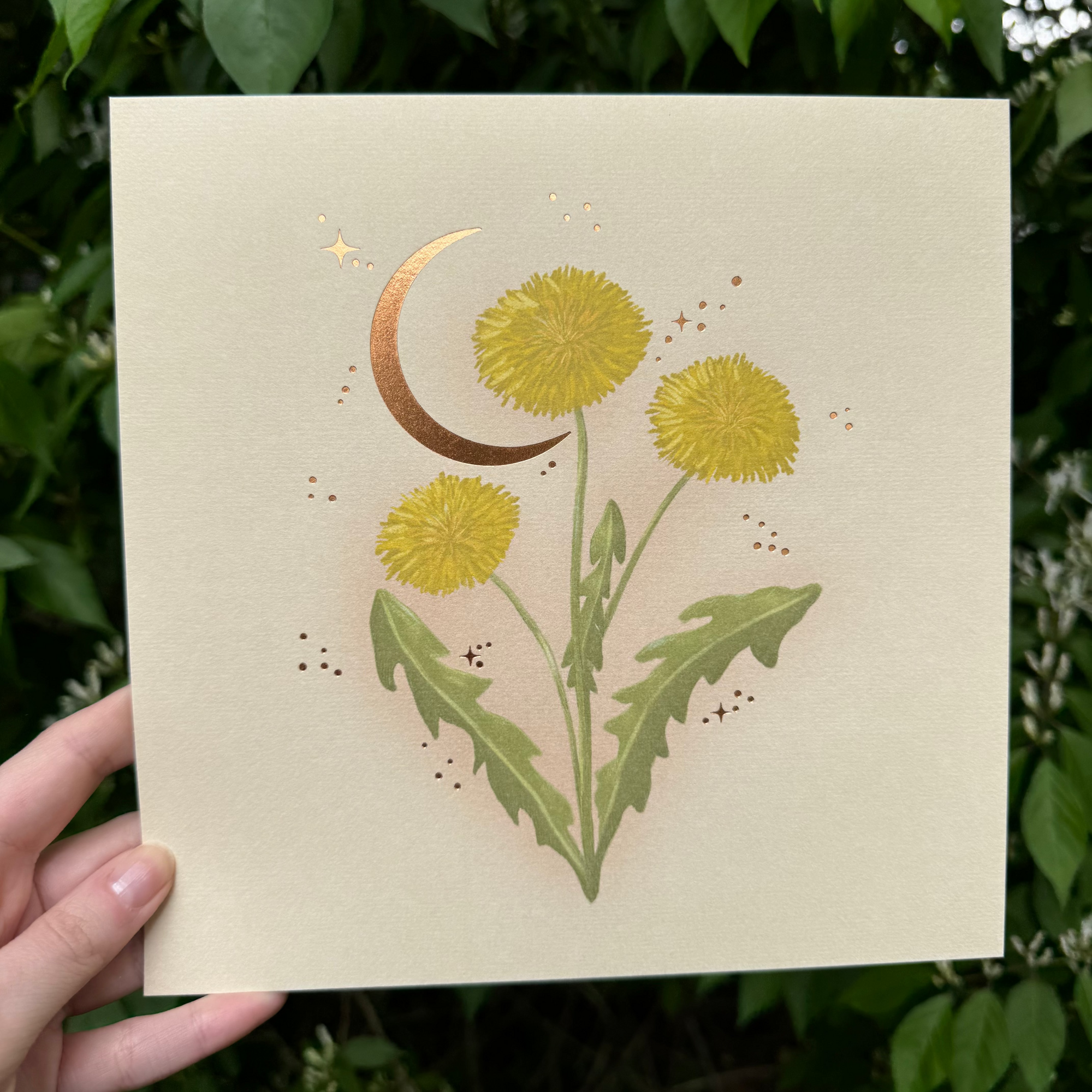 Dandelion Foil Print
