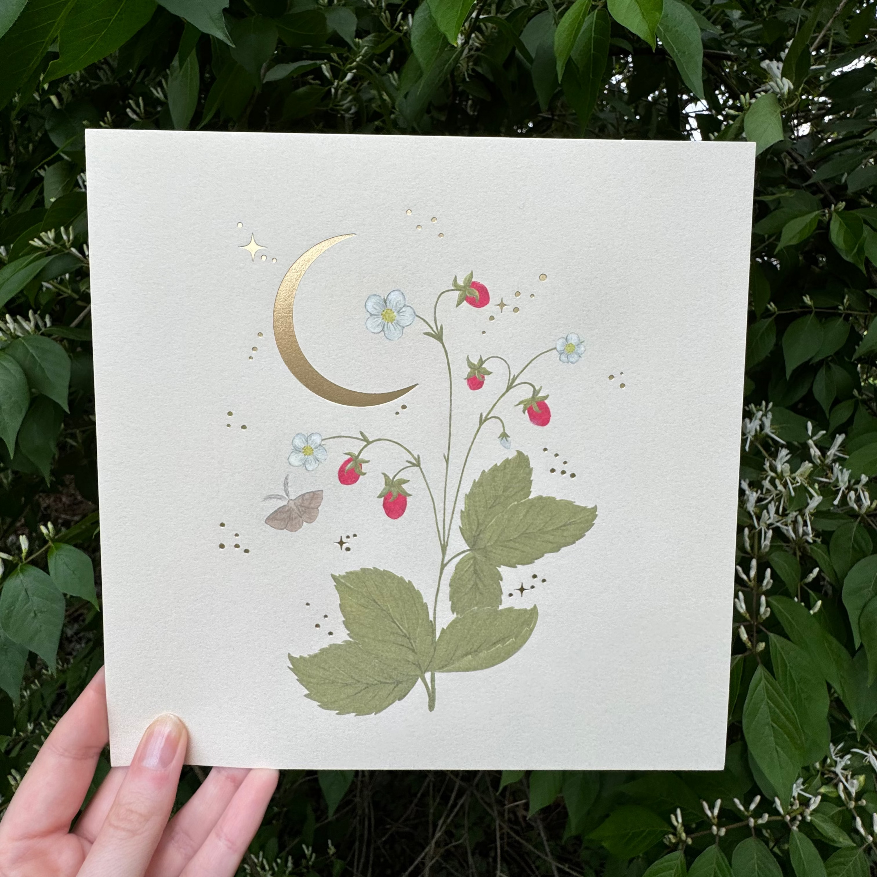 Wild Strawberry Foil Print